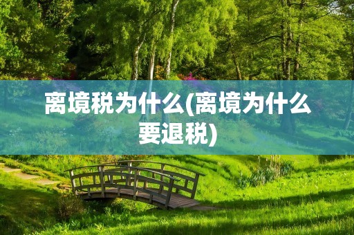 离境税为什么(离境为什么要退税)