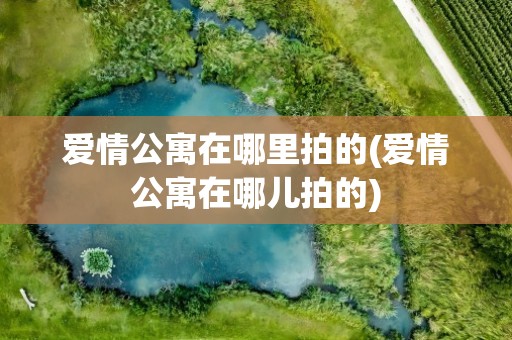 爱情公寓在哪里拍的(爱情公寓在哪儿拍的)
