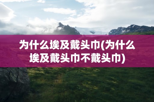 为什么埃及戴头巾(为什么埃及戴头巾不戴头巾)