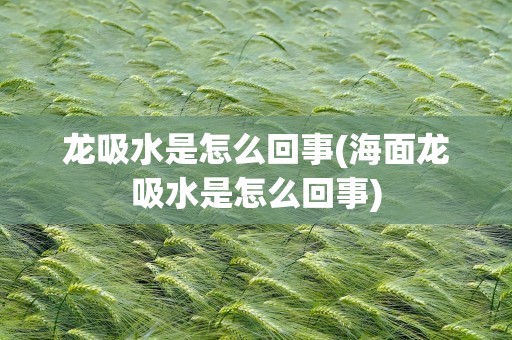 龙吸水是怎么回事(海面龙吸水是怎么回事)