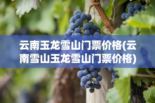 云南玉龙雪山门票价格(云南雪山玉龙雪山门票价格)