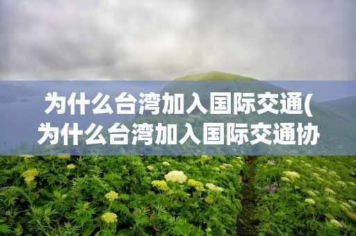 为什么台湾加入国际交通(为什么台湾加入国际交通协会)