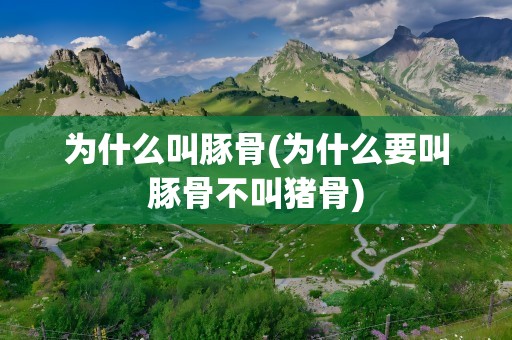 为什么叫豚骨(为什么要叫豚骨不叫猪骨)