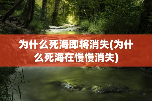 为什么死海即将消失(为什么死海在慢慢消失)