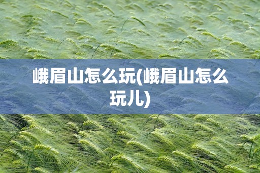 峨眉山怎么玩(峨眉山怎么玩儿)