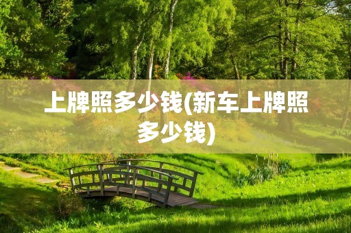 上牌照多少钱(新车上牌照多少钱)