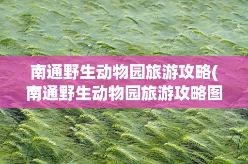 南通野生动物园旅游攻略(南通野生动物园旅游攻略图)