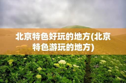 北京特色好玩的地方(北京特色游玩的地方)