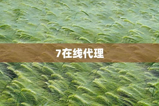 7在线代理