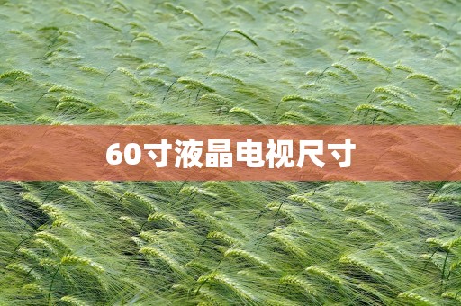 60寸液晶电视尺寸