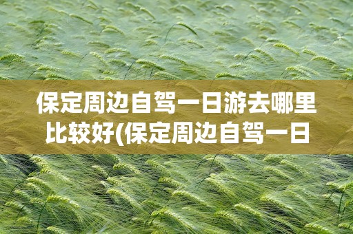 保定周边自驾一日游去哪里比较好(保定周边自驾一日游去哪里比较好冬天)