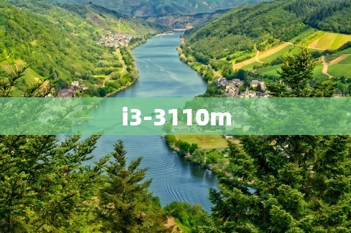 i3-3110m