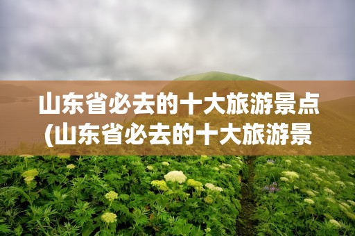 山东省必去的十大旅游景点(山东省必去的十大旅游景点图片)