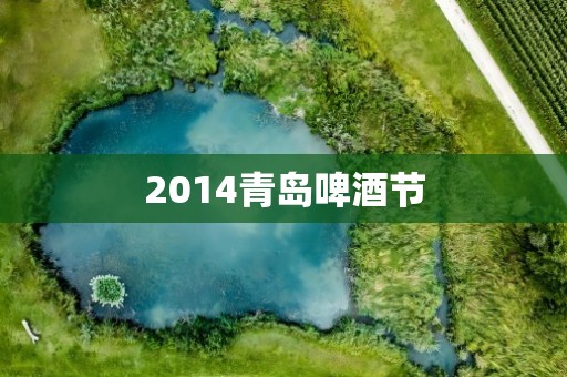 2014青岛啤酒节