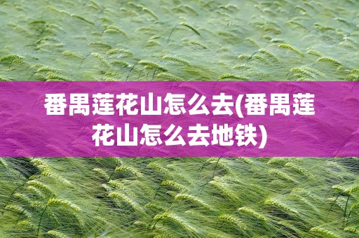 番禺莲花山怎么去(番禺莲花山怎么去地铁)