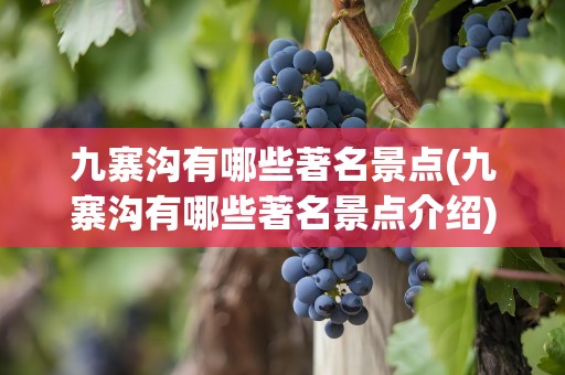 九寨沟有哪些著名景点(九寨沟有哪些著名景点介绍)
