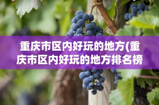 重庆市区内好玩的地方(重庆市区内好玩的地方排名榜)