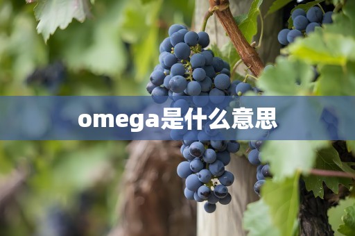 omega是什么意思
