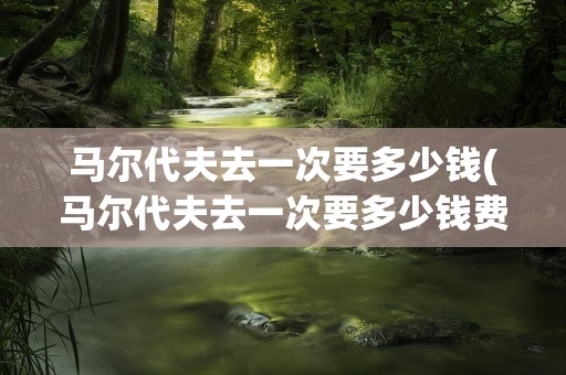 马尔代夫去一次要多少钱(马尔代夫去一次要多少钱费用)
