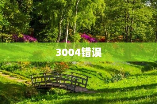 3004错误