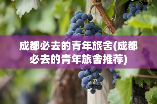 成都必去的青年旅舍(成都必去的青年旅舍推荐)