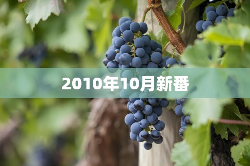 2010年10月新番