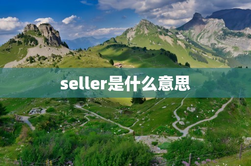 seller是什么意思