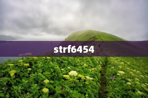 strf6454
