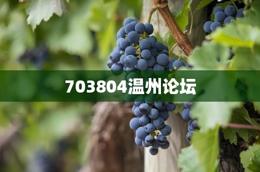 703804温州论坛