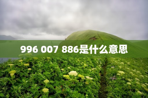 996 007 886是什么意思