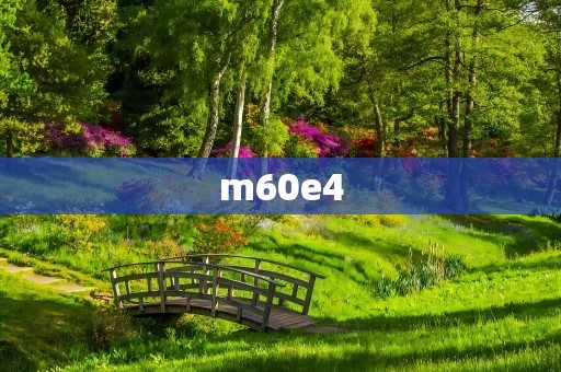 m60e4