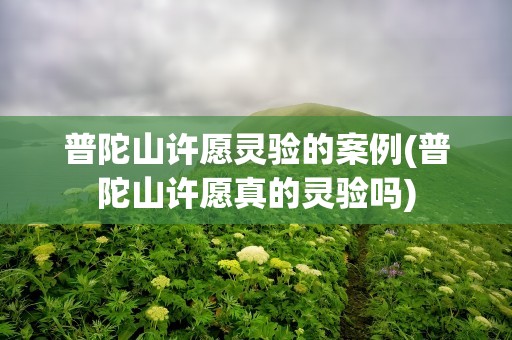 普陀山许愿灵验的案例(普陀山许愿真的灵验吗)