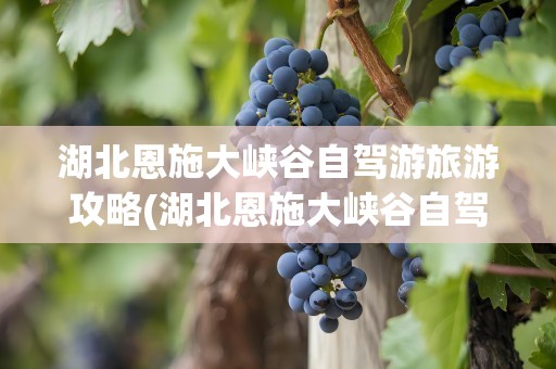 湖北恩施大峡谷自驾游旅游攻略(湖北恩施大峡谷自驾游旅游攻略图)