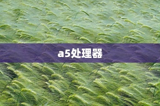 a5处理器