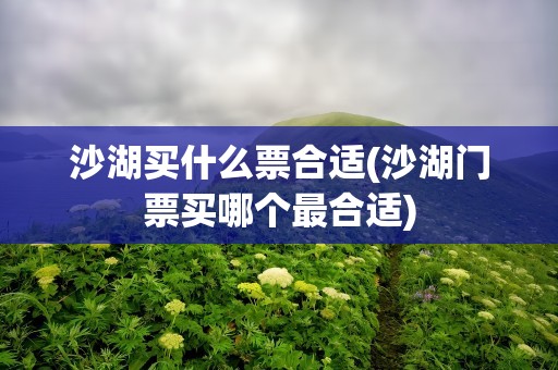 沙湖买什么票合适(沙湖门票买哪个最合适)
