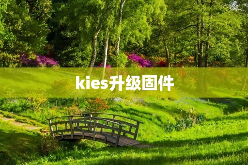 kies升级固件
