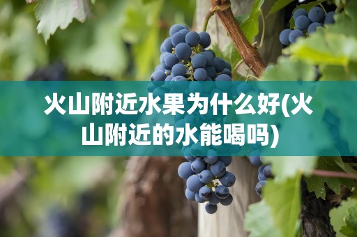 火山附近水果为什么好(火山附近的水能喝吗)