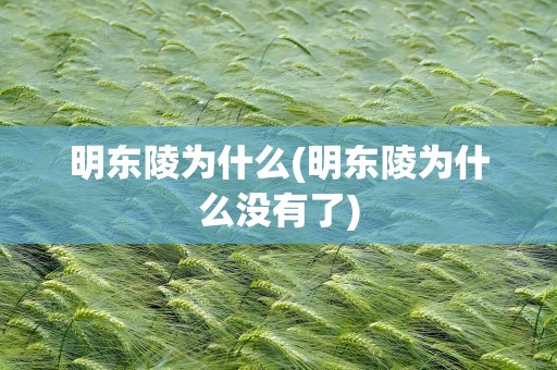 明东陵为什么(明东陵为什么没有了)