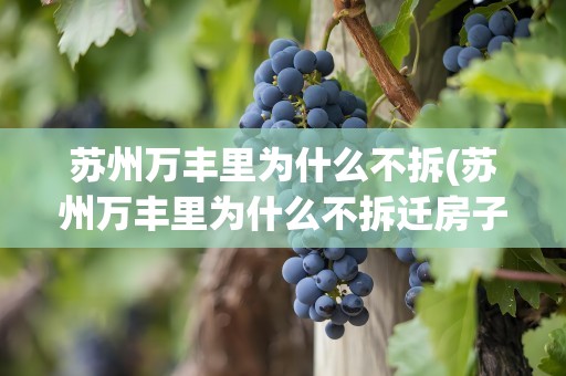 苏州万丰里为什么不拆(苏州万丰里为什么不拆迁房子)