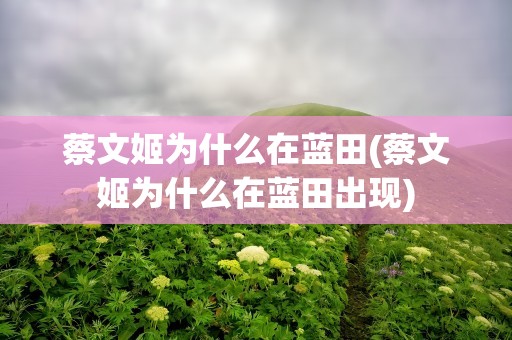蔡文姬为什么在蓝田(蔡文姬为什么在蓝田出现)