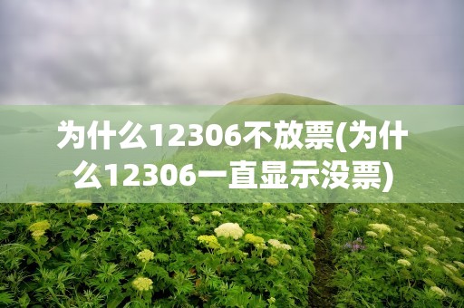 为什么12306不放票(为什么12306一直显示没票)