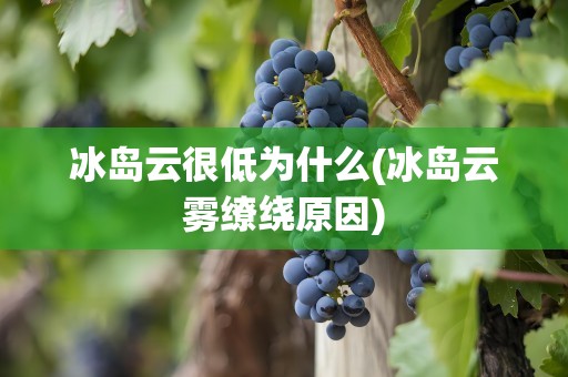 冰岛云很低为什么(冰岛云雾缭绕原因)