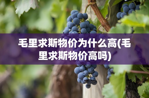 毛里求斯物价为什么高(毛里求斯物价高吗)