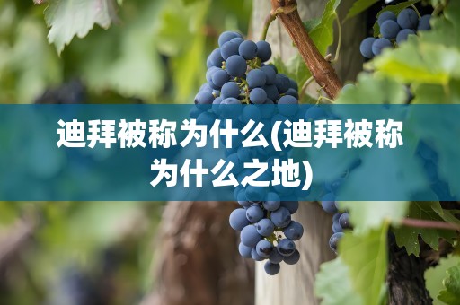 迪拜被称为什么(迪拜被称为什么之地)