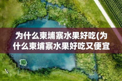 为什么柬埔寨水果好吃(为什么柬埔寨水果好吃又便宜)