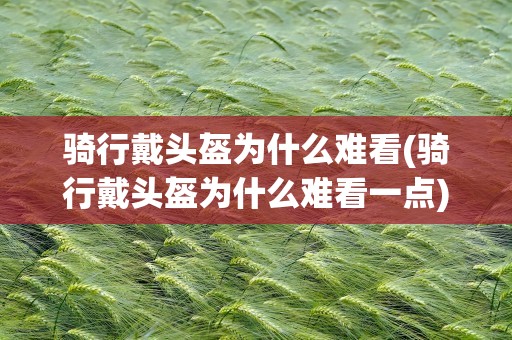 骑行戴头盔为什么难看(骑行戴头盔为什么难看一点)
