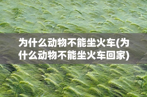 为什么动物不能坐火车(为什么动物不能坐火车回家)