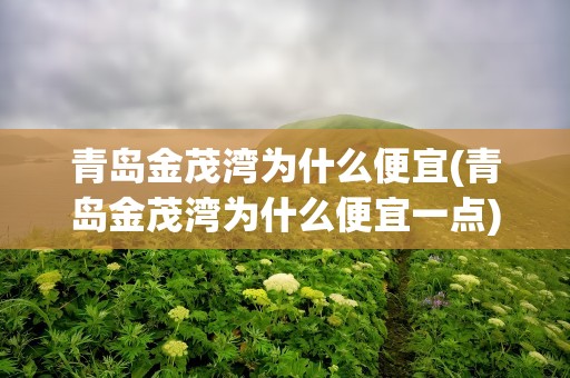青岛金茂湾为什么便宜(青岛金茂湾为什么便宜一点)