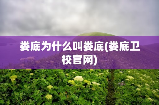 娄底为什么叫娄底(娄底卫校官网)