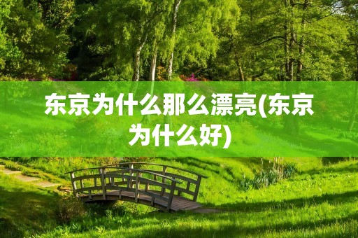 东京为什么那么漂亮(东京为什么好)